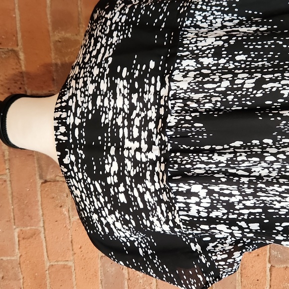 Sheer Button Down Tunic - Picture 4 of 6